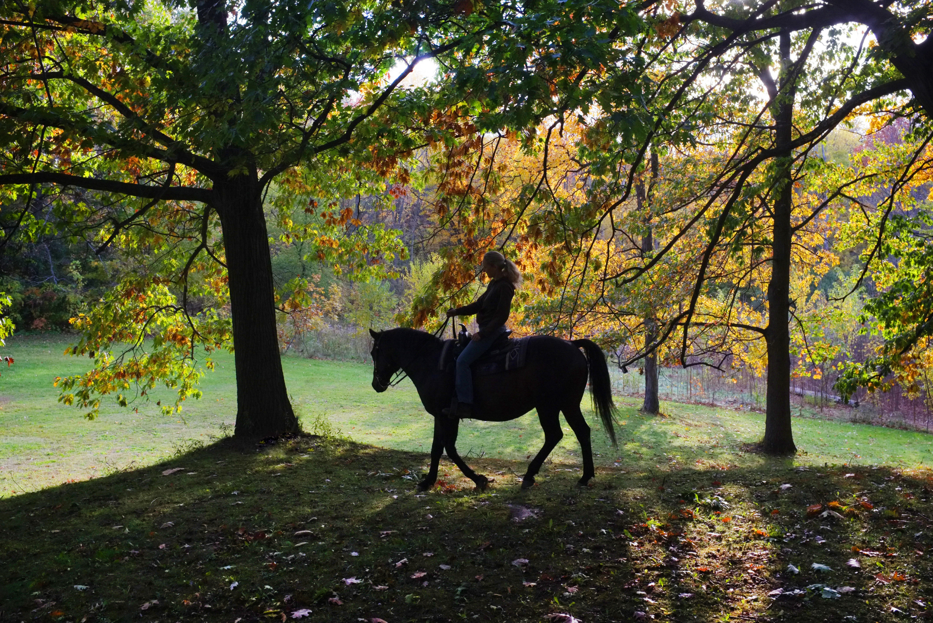 Niagara Riding Stables 